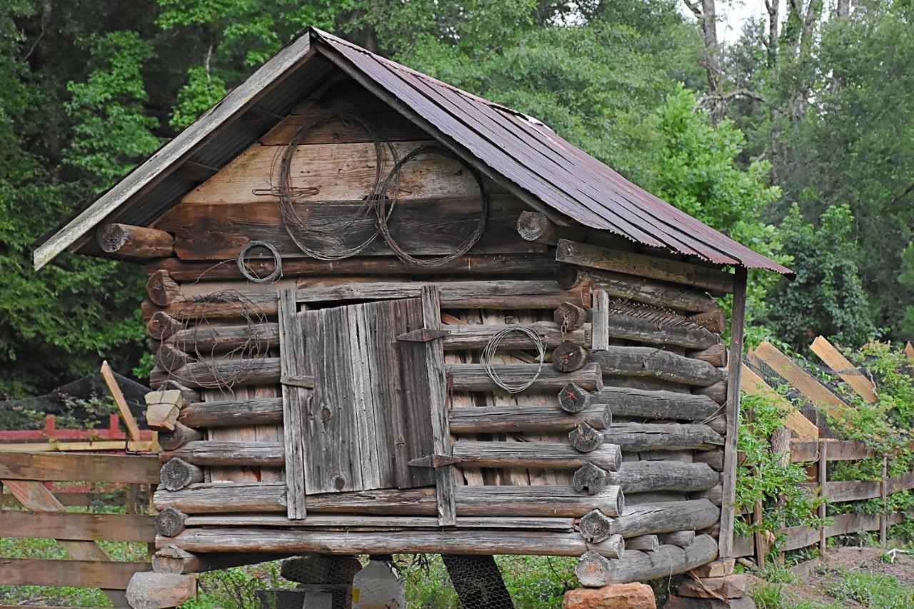 คูลเตอร์ ฟาร์มสเตด Bed & Breakfast Washington ภายนอก รูปภาพ