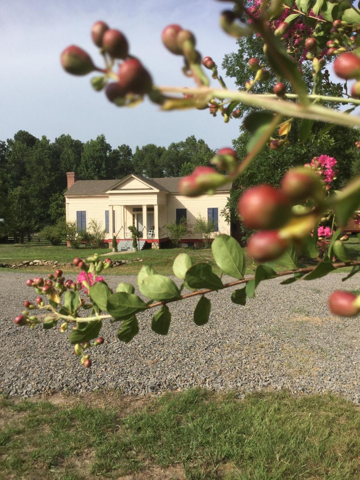 คูลเตอร์ ฟาร์มสเตด Bed & Breakfast Washington ภายนอก รูปภาพ